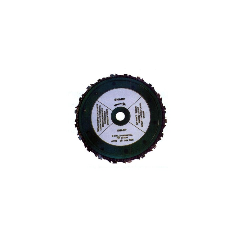 DISCO PER LEGNO CON CATENA Ø MM 230 FORO Ø MM 22,23 DISCO PER LEGNO CON CATENA Ø MM 230 FORO Ø MM 22,23
