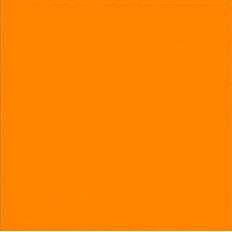 COLORANTE TINTOREL CONCENTRATO ML 50  ITALCHIMICI