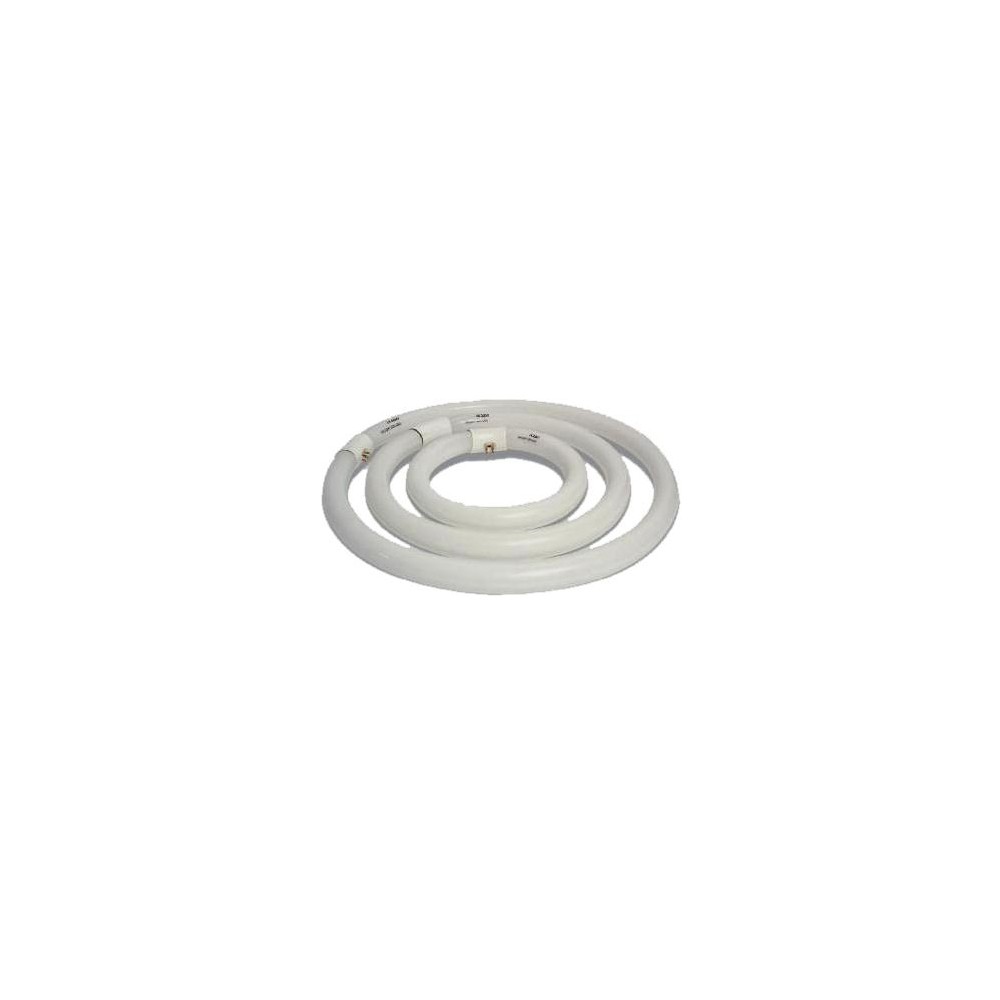 LAMPADA NEON CIRCOLINA TRIFOSFORO T9 LAMPADA NEON CIRCOLINA TRIFOSFORO T9