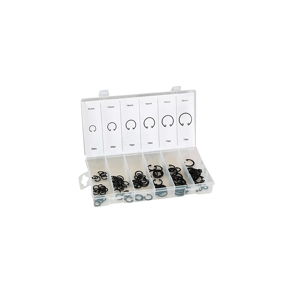 ASSORTIMENTO ANELLI ELASTICI INTERNO DA PEZZI 100 ASSORTIMENTO ANELLI ELASTICI INTERNO DA PEZZI 100