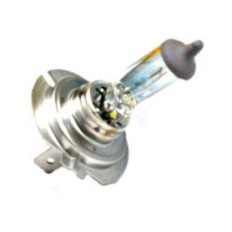 LAMPADINA ALOGENA H7 12V 55W