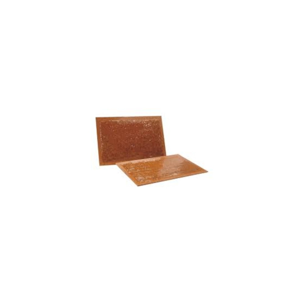 TOPICIDA TAVOLE ADESIVE 20 X 30 CM PROTEMAX TOPICIDA TAVOLE ADESIVE 20 X 30 CM PROTEMAX