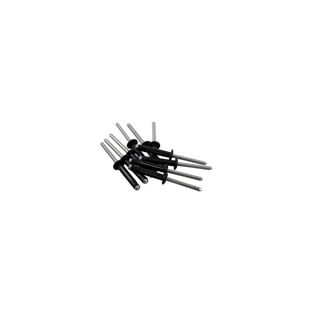 RIVETTI TESTA DI MORO BLISTER 100 PEZZI RIVETTI TESTA DI MORO BLISTER 100 PEZZI
