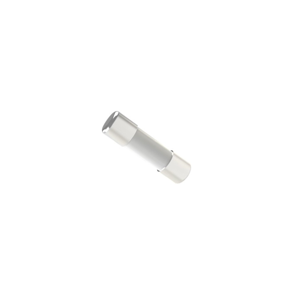 FUSIBILE CH10GG 10,3X38