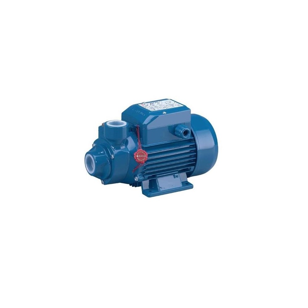 ELETTROPOMPA PERIFERICA PKM 60-1 HP0,5 ELETTROPOMPA PERIFERICA PKM 60-1 HP0,5