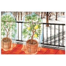 CAPPUCCIO ANTIGELO TNT PROTEZIONE PIANTE BIANCO  STARS