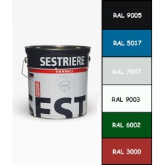 ANTIRUGGINE SINTETICO COLORE
