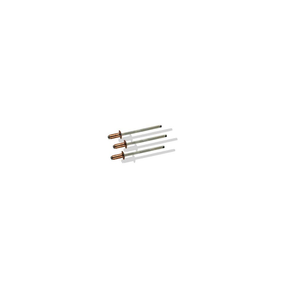 RIVETTI RAME BLISTER 100 PEZZI