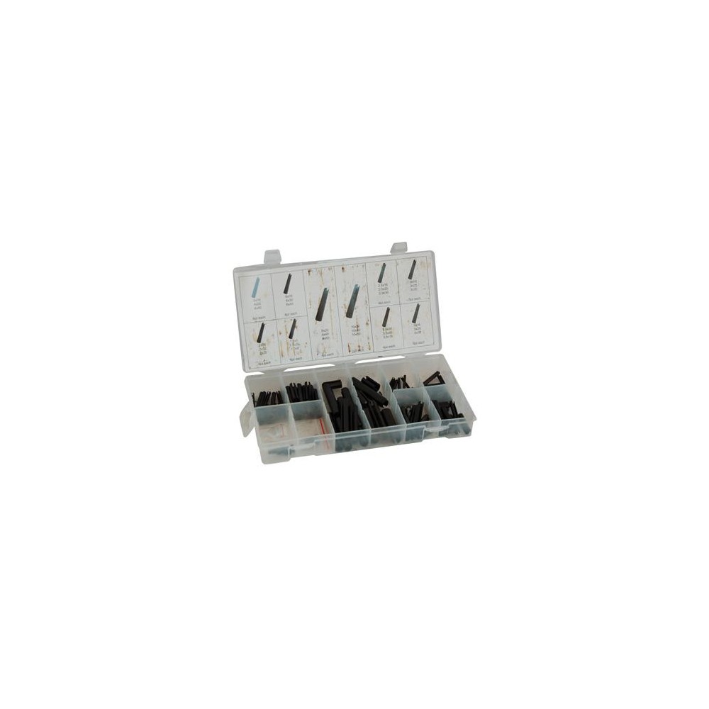 ASSORTIMENTO SPINA ELASTICA ACCIAIO DA PEZZI 120
