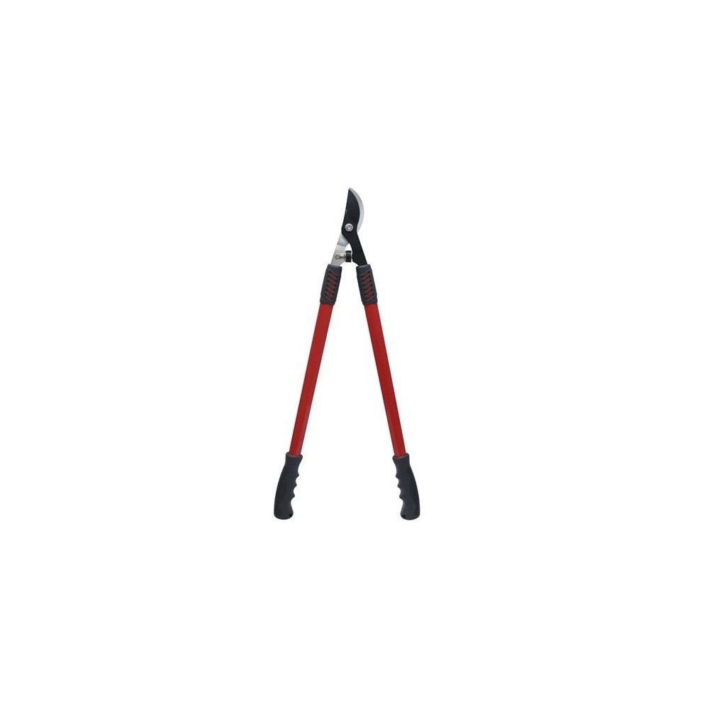 CESOIE TRONCARAMI AXEL GA0472