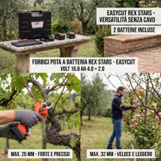 FORBICI POTA BATTERIA EASYCUT REX STARS VOLT 16,8 AH 4,0+2,0 MM 25/32 + VALIGIA